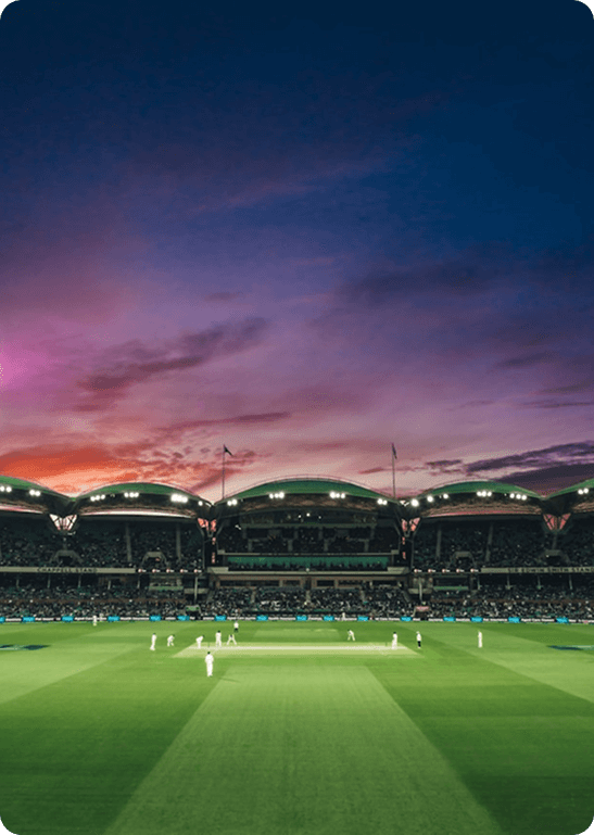 Cricket match under stadium lights with a packed crowd at sunset